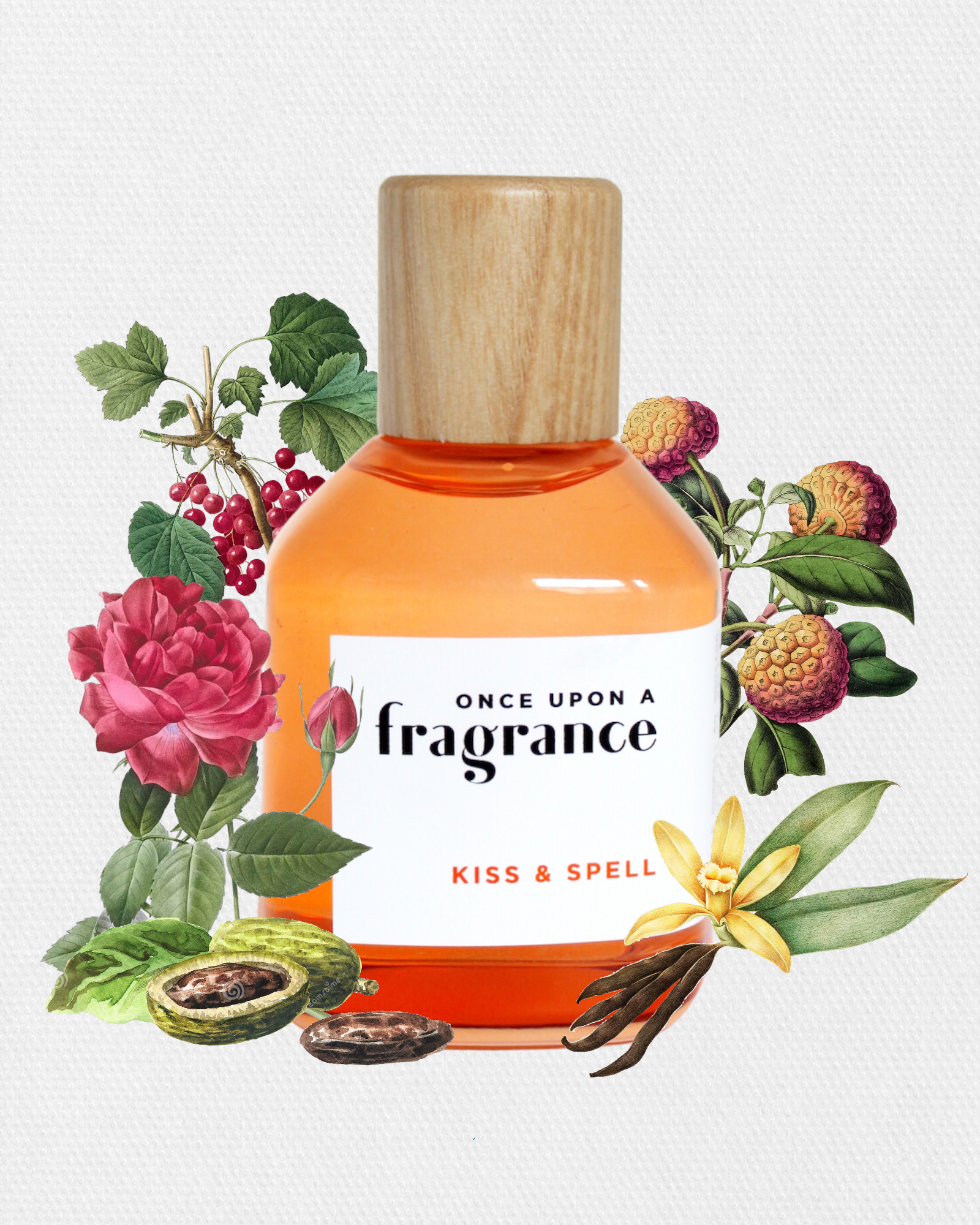 KISS & SPELL fragrance bottle with ingredients by Once Upon a Fragrance, highlighting premium notes of red berries, rose vanilla, and tonka for a seductive, long-lasting designer scent